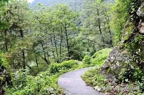 小猫钓鱼开船版最新版下载