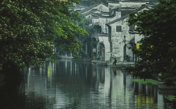 小仓鼠吃瓜子